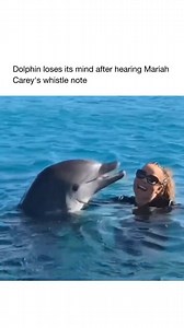 13K views · 2.7K reactions | 勞朗朗朗 @mariahcarey literal magic. And actually a revolutionary step forward in terms of humans and animals realizing the full potential of our connection. #mariahcarey #aura #telepathy #whistle #highnote #singing #octave #frequency #dolphins #magic #manifestation | Jesus Barnes | Facebook