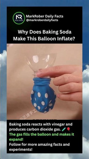 Why Does Baking Soda Make This Balloon Inflate?