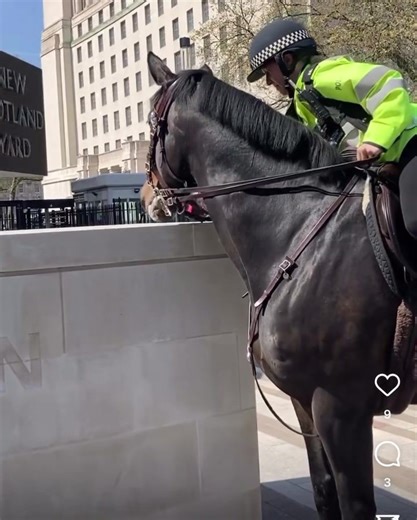 The Book Fairies are out hiding Atticus around the country today. This one takes the biscuit. | Mark Dawson