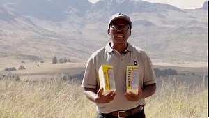 310 reactions · 46 shares | Mr Nqeto of Kyron Agri explains to us how to use Maxitet 13.5% and Maxitet LA. UMnumzana u Nqeto womzi i Kyron Agri usicacisela banzi ngendlela esetyenziswa ngayo i Maxitet 13 5,% ne Maxitet LA. #Kyron #KyronAgri #AnimalHealth #Maxitet13.5% #MaxitetLA #Maxitet #Tetracycline #Antibiotic #yokunyanga Maxitet 13.5% G3586 Act 36/1947; NSO V05/17.1.2/295 Act 13/2003 Maxitet LA G3580 Act 36/1947; NSO V05/17.1.2/294 Act 13/2003 | Kyron Agri Eastern Cape | Facebook