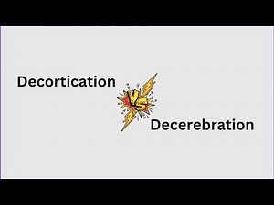 #Decortication Vs #Decerebration
