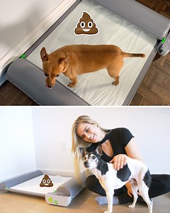 Imagine the smell of your home when dog poop is left lying there for hours😷 Thankfully, Brilliant Pad is a self-cleaning dog potty that smells fresh every time your dog goes💩 🌺Say goodbye to stinky dog poop and hello to a clean, fresh aroma!🌺 Tap [Learn More] to see how. Here: www.brilliantpad.com | BrilliantPad