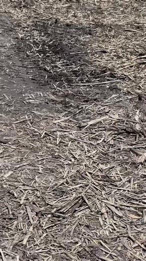 2.3K views | Wish we had these monster machines in the Midwest  #farming #farmequipment | Heritage Tractor | Facebook