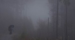 New 10-Foot-Tall Bigfoot Sighting In Minnesota Town Considered To Be A 'Hot Spot' For Encounters