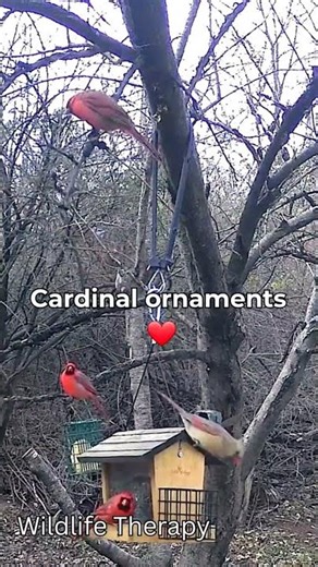 People think I bought these…