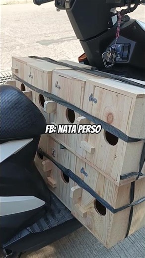 birdnest/nestbox for lovebirds #lovebirds #birds #shorts