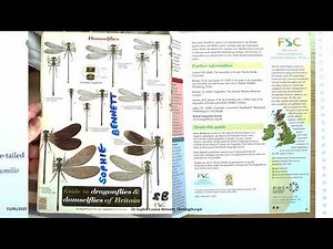 Odonata - Dragonflies and Damselflies - Dr Sophie Louisa Bennett, Skellingthorpe