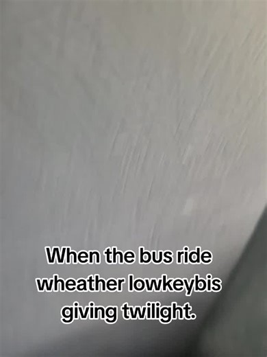 Twilight-Inspired Bus Ride Experience