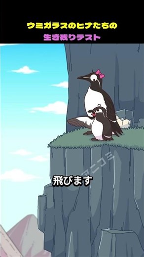 ウミガラスの赤ちゃんたちの生存試験