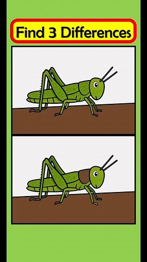 This grasshopper is not the same #288 | Ahmad Yohanes