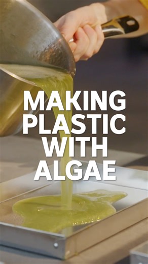 Artist-inventor Jessie French creates extraordinary "plastic" out of dried algae. The Art Of... - Stream on iview now: https://ab.co/TheArtOf | ABC Arts