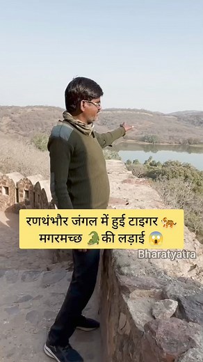 1.1M views · 10K reactions | Tiger vs Crocodile Fight  #reelsvideoシ #reelsviralシ #viralreelsシ #viralreelschallenge #reelschallenge #bharatyatra #ranthamborenationalpark | Bharat Yatra | Facebook