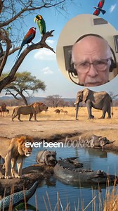 5.4K views · 135 reactions | From the tiniest sea creatures to humans—every living being makes nitric oxide. It’s not just essential, it’s universal. That tells you something about just how vital this molecule really is. I dive into this discovery and more in Dr. NO: https://a.co/d/5aY2QOb | Dr. Louis Ignarro | Facebook