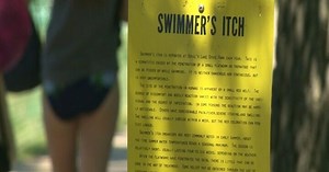 Swimmer’s itch warning signs up at Devil’s Lake State Park