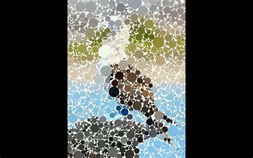 Circle Packing Stuff