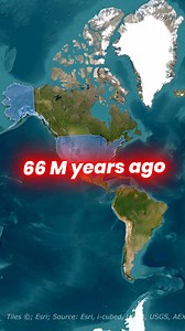 These wild creatures once roamed America 66 million years ago! #USA #America #Trex #dinosaurs | Worldatlas.com