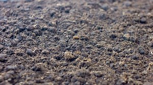soil, 4k ground background