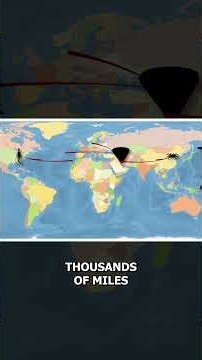 How Ocean Hitchhikers Take Over