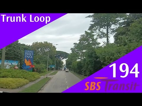 Singapore SBS Transit Trunk Bus Service 194 Route Visual