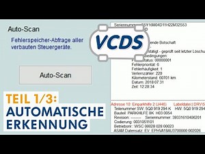VCDS AUTO-SCAN ▸ Automatische Erkennung