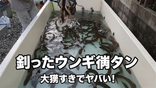 100匹のウナギ用イケスを作る | 上編イケス作り挑戦