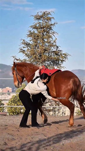 この馬術テクニックは実際に効果がある