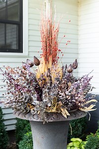 477K views · 10K reactions | I am all for having options. Some years,...