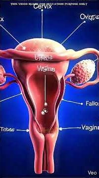 The Odds of You Being Born Are Zero... Almost.