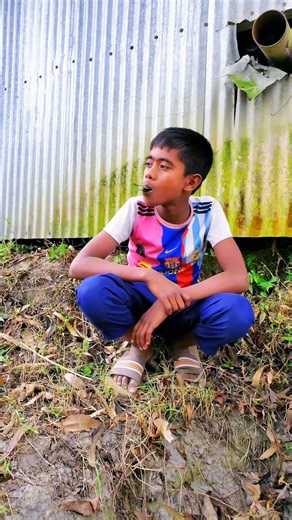 trap catching parrot #mouse