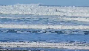 King tide waves rolling into Bastendorff Beach looking south at the point behind Cape Arago lighthouse in the distance 😀 11/26/23 - - - Video Courtesy: Howard Fischer | Oregon's Bay Area