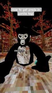 HOW TO GET PREDS IN GORILLA TAG! #gorillatag #funny #gtag #vr #art#gorillatagquest #mods hii plz sub