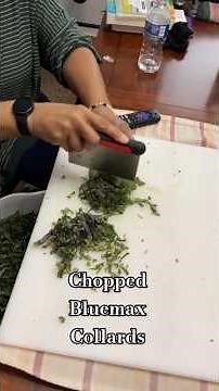 The Best Batch of Collard Greens to Date