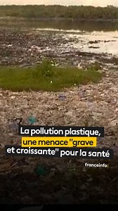 La pollution plastique est un "danger grave, croissant et sous-estimé" pour la santé qui coûte au monde au moins 1 500 milliards de dollars par an, avertissent des experts dans un rapport paru lundi 4 août dans la revue médicale The Lancet. | Franceinfo