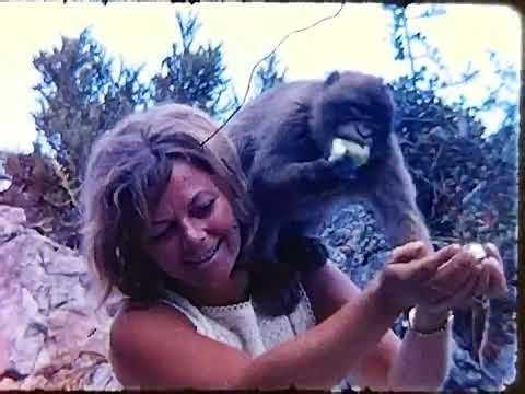 Gibraltar 1968 - 8mm Home movie