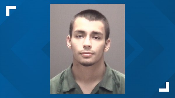 Guilty: La Marque teen stabbed his pregnant mother 57 times, strangled her with electrical cord