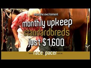 Race a Pacer Horse Ownership (Harness)