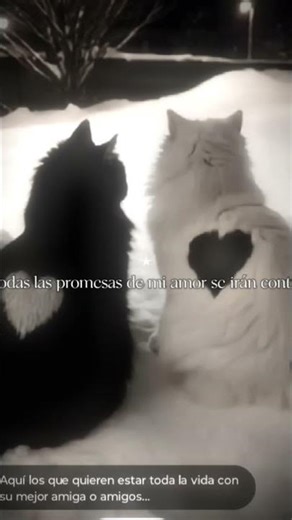 todas las promesas de amor serán con Tigo 💔❤️‍🩹