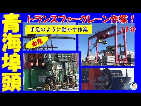 【必見！】ガントリークレーンが伸びる瞬間やトランスファークレーンの海コン運搬など晴海埠頭😀🚂