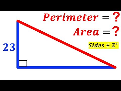 Can you find Area and Perimeter of the triangle? | (Right Triangle) | #math #maths | #geometry