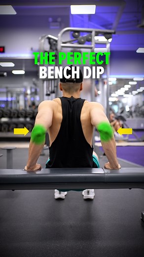 273K views · 3.5K reactions | ✅ The PERFECT Bench Dip Form! 1️⃣ Grip...