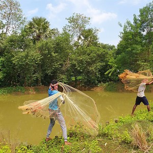 Unbelievable Cast Net Fishing | Catch Lots Of Fish By Cast Net In Village Pond | 2021 Best Video | Fisherman Animal Lover-Original