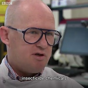18K views · 92 reactions | Are Londoners addicted to the ‘zombie pill?’ https://bbc.in/2IHpUXW | BBC London | Facebook