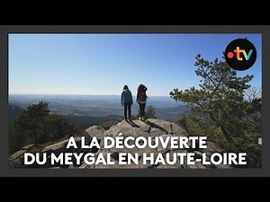 Randonnée : à la découverte du massif du Meygal en Haute-Loire