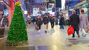 Best Scares of Christmas Tree Prank | Bushman Pranks