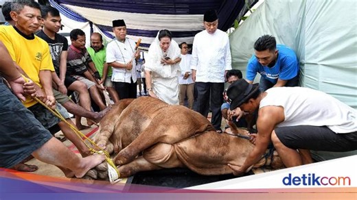 Doa Menyembelih Hewan Kurban Arab-Latin Sesuai Sunnah