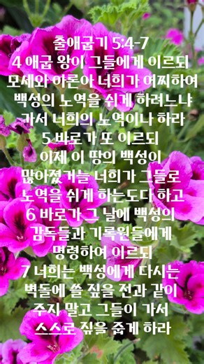 #출애굽기 5:4-7 # 개역개정 #성경읽기 #모세#구약