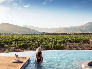 The West’s New Hottest Wine Region Is South of the Border