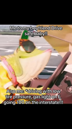Humorous Frog Driving: Safety vs. Reality