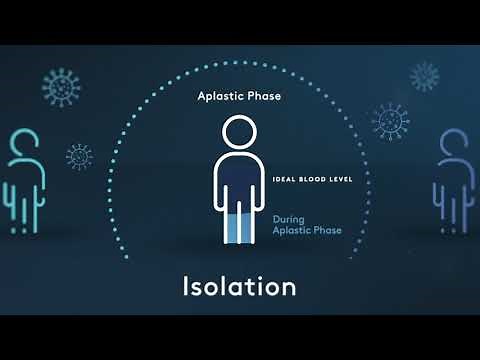 What happens during Haematopoietic Stem Cell Transplantation (HSCT) for multiple sclerosis (MS)?