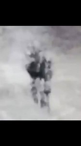 Rastros del Alien Medusa , mejor conocido como The Alien JellyFish | MEN IN BLACK Conspiracy